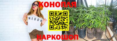 гидра Гагарин