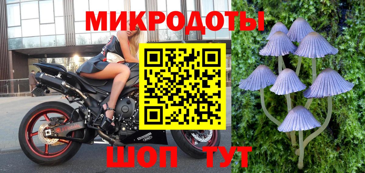 Псилоцибиновые грибы прущие грибы  Вход с VPN  Псилоцибиновые грибы мицелий  Сальск 